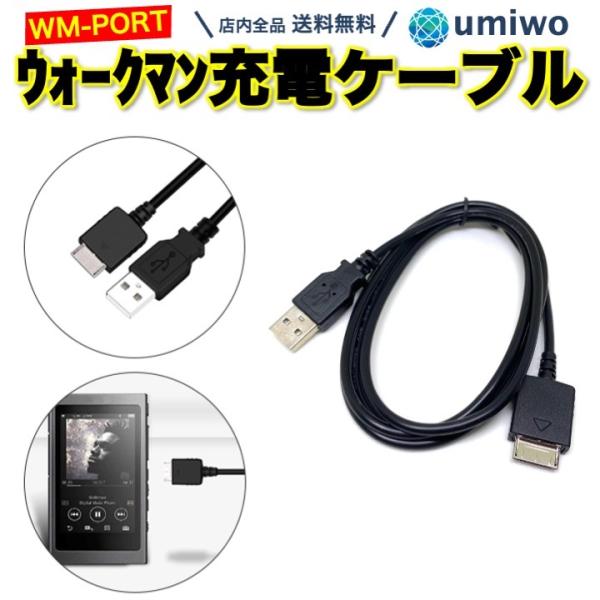 ウォークマン 充電ケーブル WM-PORT 長さ1.2m WALKMAN NWZ-845 など